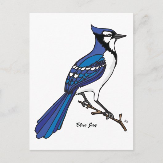 BLUE JAY BRIEFKAART (Voorkant)