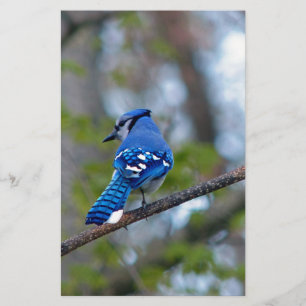 Blue Jay Briefpapier