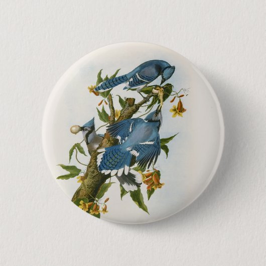 Blue Jay Button (Voorkant)