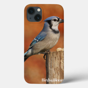 Blue Jay iPhone 13 Hoesje