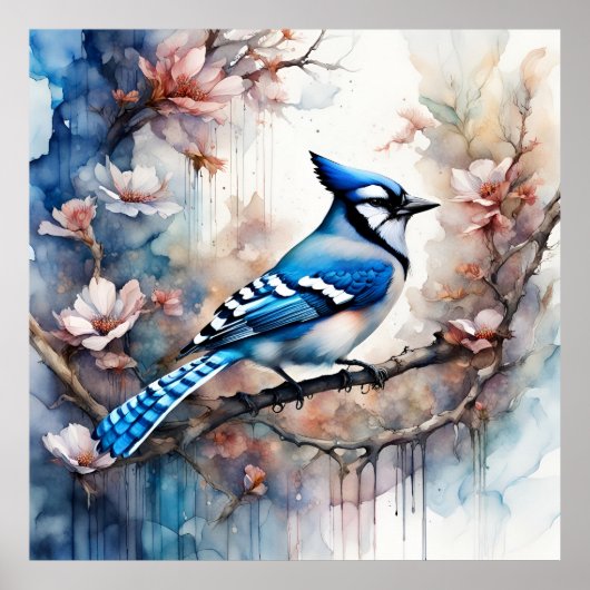 Blue Jay Cherry Blossoms waterverf Poster (Voorkant)