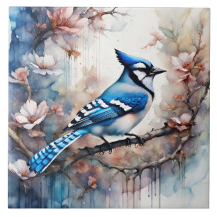 Blue Jay Cherry Blossoms waterverf Tegeltje