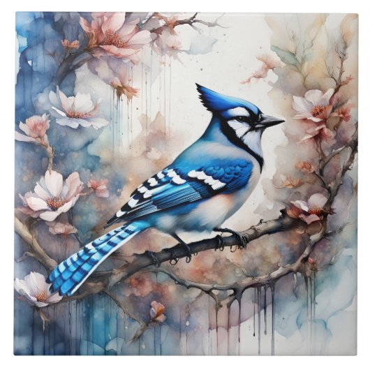 Blue Jay Cherry Blossoms waterverf Tegeltje (Voorkant)