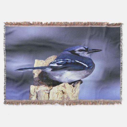 Blue Jay Deken (Voorkant)