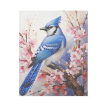 Blue Jay en Blossoms