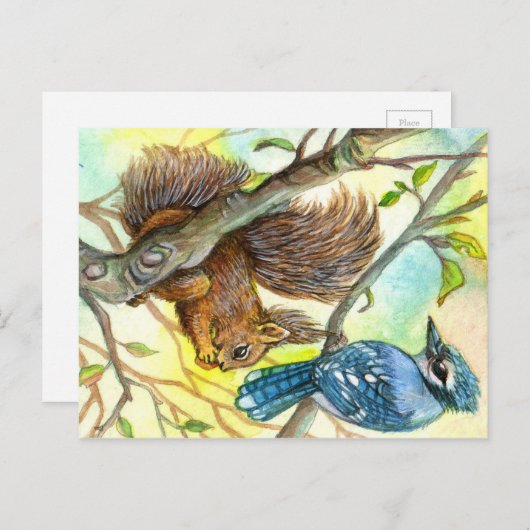 Blue Jay en Squirrel Briefkaart (Voorkant / Achterkant)