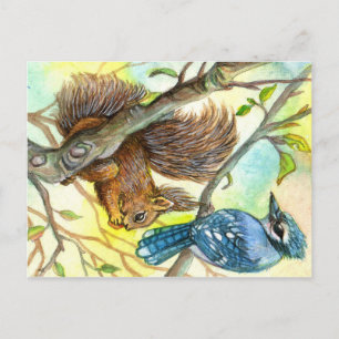Blue Jay en Squirrel Briefkaart