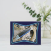 Blue Jay Feather Coördinating Items Briefkaart (Staand voorkant)