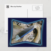 Blue Jay Feather Coördinating Items Briefkaart (Voorkant / Achterkant)
