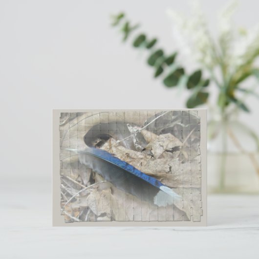 Blue Jay Feather Coördinating Items Briefkaart (Staand voorkant)