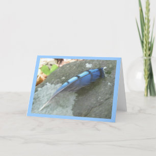 Blue Jay Feather Note Kaart