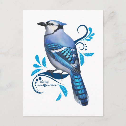 Blue Jay Feestdagenkaart (Voorkant)