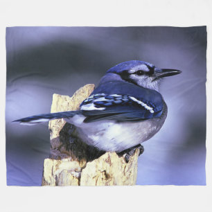 Blue Jay Fleece Deken