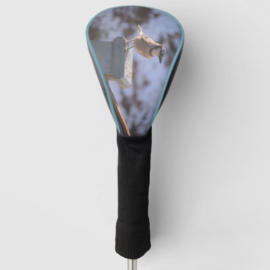 Blue Jay Golfheadcover (Voorkant)