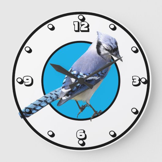 Blue Jay Grote Klok (Voorkant)