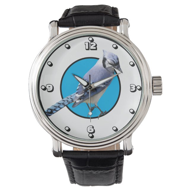 Blue Jay Horloge (Voorkant)