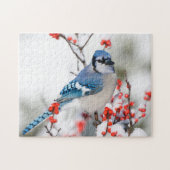 Blue Jay in Common Winterberry Legpuzzel (Horizontaal)