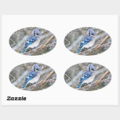 Blue Jay in een Snowstorm Ovale Sticker (Vel)