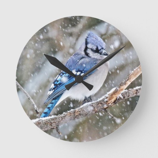 Blue Jay in een Snowstorm Ronde Klok (Voorkant)