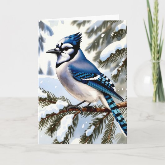 Blue Jay in Snowy Pines Winter Greeting Kaart (Voorkant)