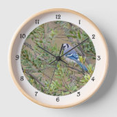 Blue Jay in Southern Wax Myrtle Wall Clock (Voorkant)