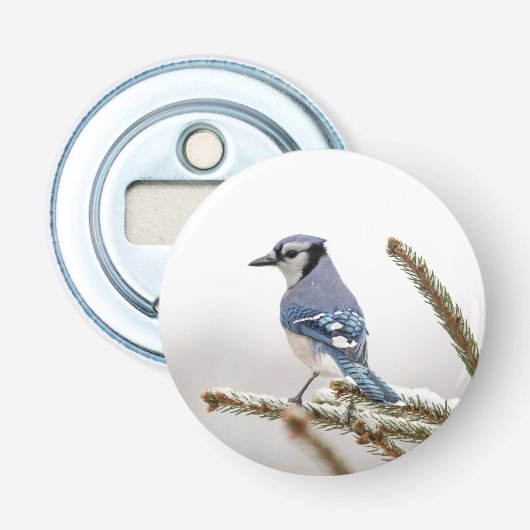 Blue Jay in Winter Button Flesopener (Voorkant)