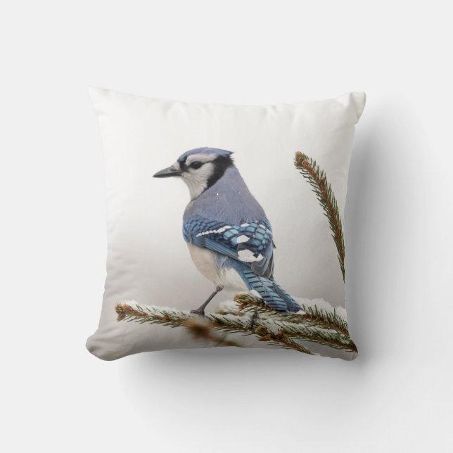 Blue Jay in Winter Kussen (Voorkant)