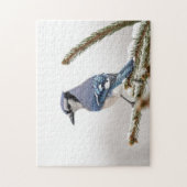 Blue Jay in Winter Legpuzzel (Verticaal)