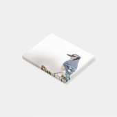 Blue Jay in Winter Post-it® Notes (Schuin)
