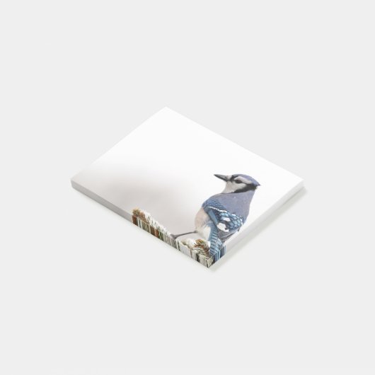 Blue Jay in Winter Post-it® Notes (Schuin)