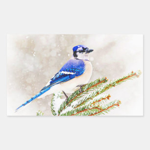 Blue Jay in Winter Rechthoekige Sticker