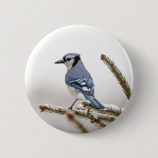 Blue Jay in Winter Ronde Button 5,7 Cm (Voorkant)