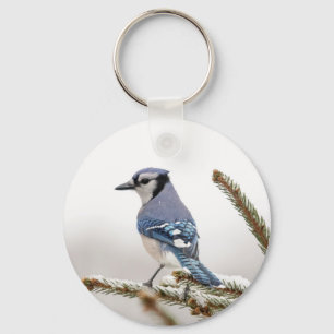 Blue Jay in Winter Sleutelhanger