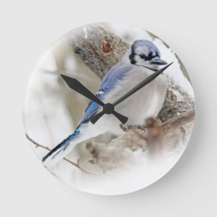 Blue Jay in Winter Snow Ronde Klok