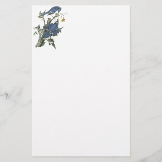 Blue Jay, John Audubon Briefpapier (Voorkant)