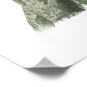 Blue Jay, John Audubon Poster (Hoek)