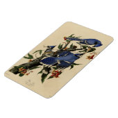 Blue Jay - John James Audubon's Birds of America Magneet (Linkerzijde)