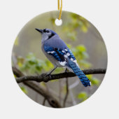 Blue Jay | Keramisch Ornament (Voorkant)