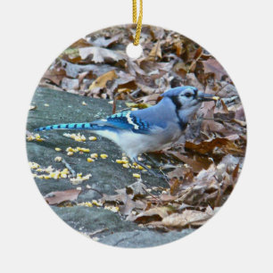 Blue Jay Kerstversiering Keramisch Ornament