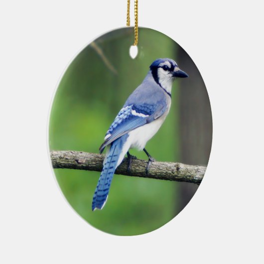 Blue Jay Kerstversiering Keramisch Ornament (Rechts)