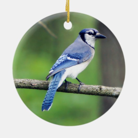 Blue Jay Kerstversiering Keramisch Ornament (Achterkant)