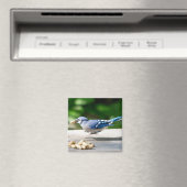 Blue Jay krijgt een pinda Magneet (Insitu (Vaatwasser))