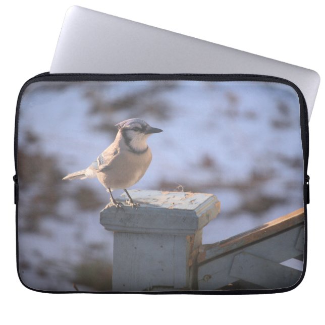 Blue Jay Laptop Sleeve (Voorkant)
