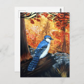 Blue Jay Life Briefkaart (Voorkant / Achterkant)