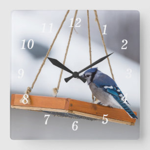 Blue Jay Lunch wandklok Vierkante Klok