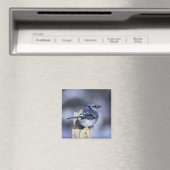 Blue Jay Magneet (Insitu (Vaatwasser))