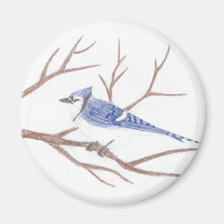 Blue Jay Magnet Magneet