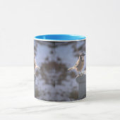 Blue Jay Mok (Midden)