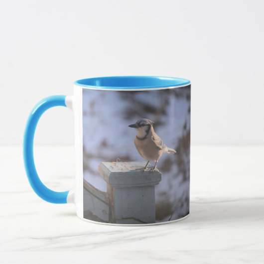 Blue Jay Mok (Links)