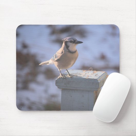 Blue Jay Muismat (Met muis)